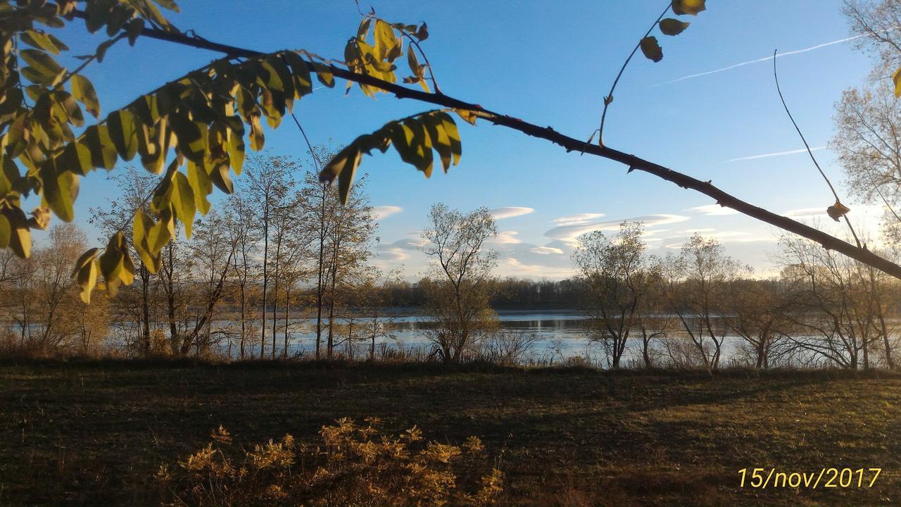 L'Ape In Corte Casa Di Campagna, Via Francigena Stanze E Colazione Vaccarizza ภายนอก รูปภาพ