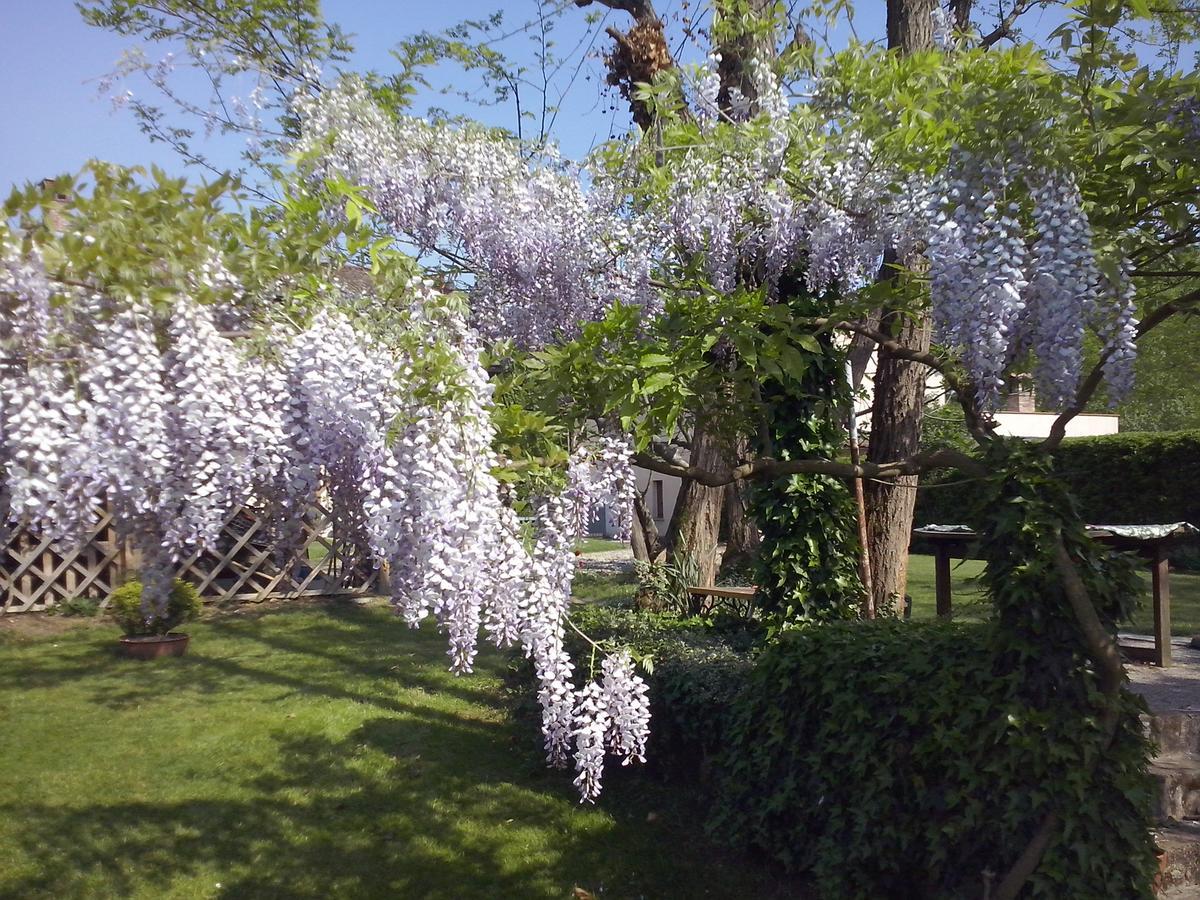 L'Ape In Corte Casa Di Campagna, Via Francigena Stanze E Colazione Vaccarizza ภายนอก รูปภาพ